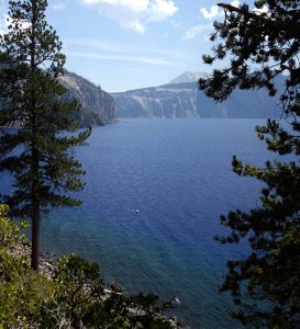 Deep blue water of Crater Lake glimpsed between pine trees. Nature's healing power.