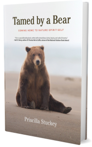 Book image for TAMED BY A BEAR: COMING HOME TO NATURE-SPIRIT-SELF. A grizzly bear sitting on a beach looking bemused.