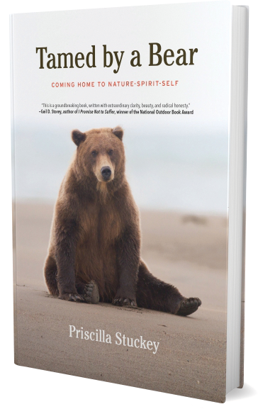 Book image for TAMED BY A BEAR: COMING HOME TO NATURE-SPIRIT-SELF. A grizzly bear sitting on a beach looking bemused. The book is a memoir of spiritual dialogue with the still small voice in the form of a spirit bear.