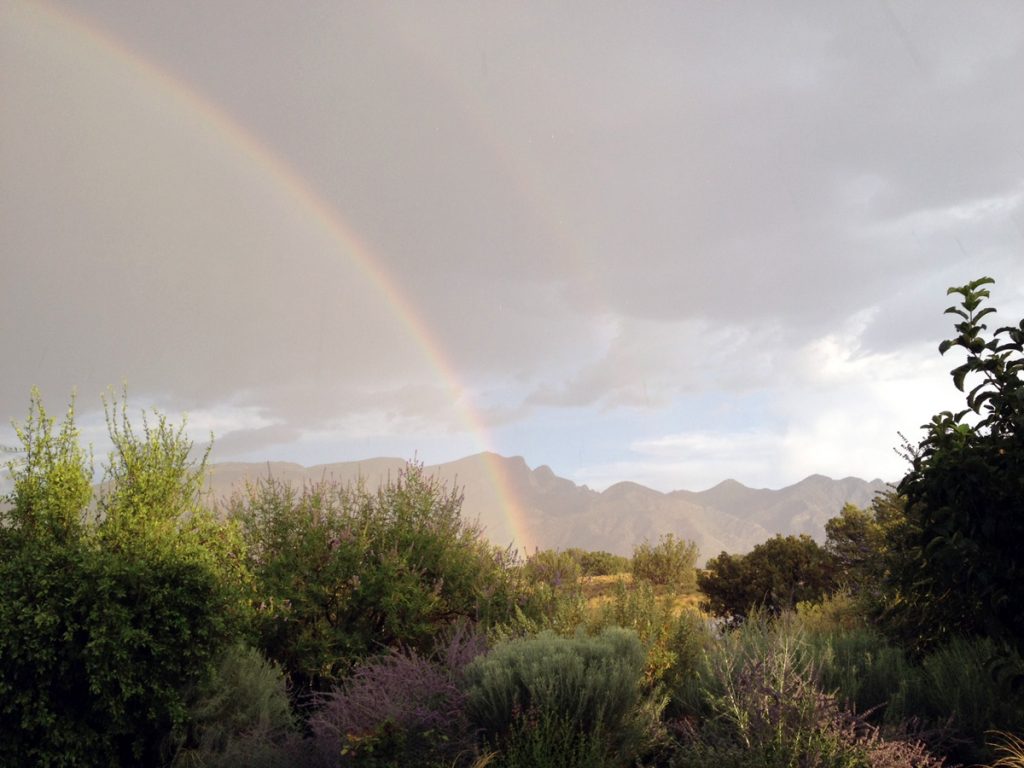 Large gray sky, shimmering Sandia mountains in the distance, garden up close, rainbow shining over all