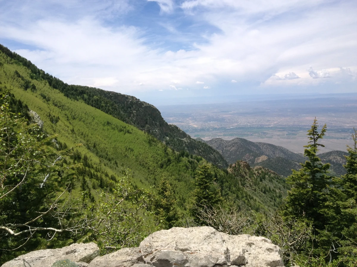 View overlooking Albuquerque from 5000 feet above, with a wall of aspens to the left