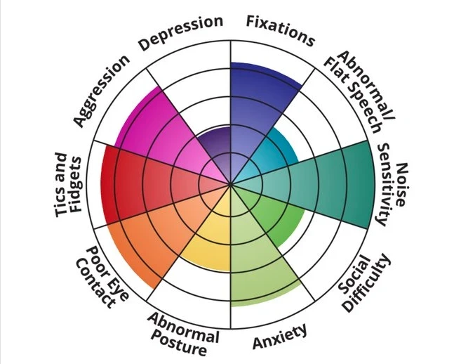 Results of an autism spectrum test showing a pie chart with each wedge a different color of the rainbow, some larger, others smaller. Categories include Aggression, Depression, Tics & Fidgets, Poor Eye Contact, Noise Sensitivity, Social Difficulty, Anxiety, Abnormal Posture.