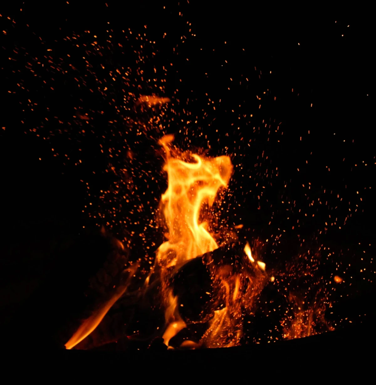 A small friendly campfire in a black night