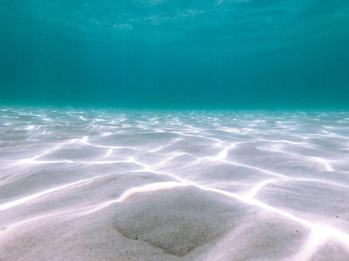 View from a sandy ocean bottom some feet under the surface. The sand ripples gently, with bright sun rays (caustics) dancing across its surface. In the foreground a scallop shell rests, camouflaged, in the sand. Stretching toward the surface many feet above and straight ahead into the distance, the water glows deep aqua.