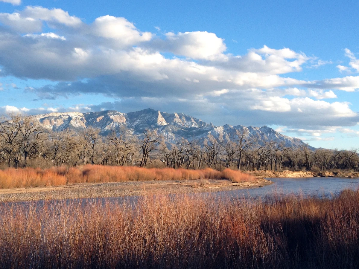 A still blue river with banks of bright rusty red grasses. Craggy mountains dusted with snow line the far horizon. The sky is deep blue with fluffy clouds.