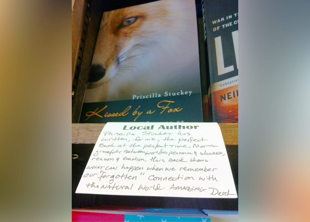 Photo of the book KISSED BY A FOX on display in a bookstore with a handwritten staff recommendation below it