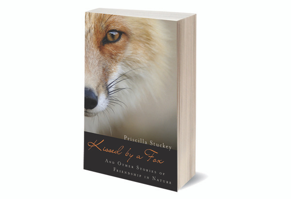 32. Kissed by a Fox: From the Audiobook Coming Soon!