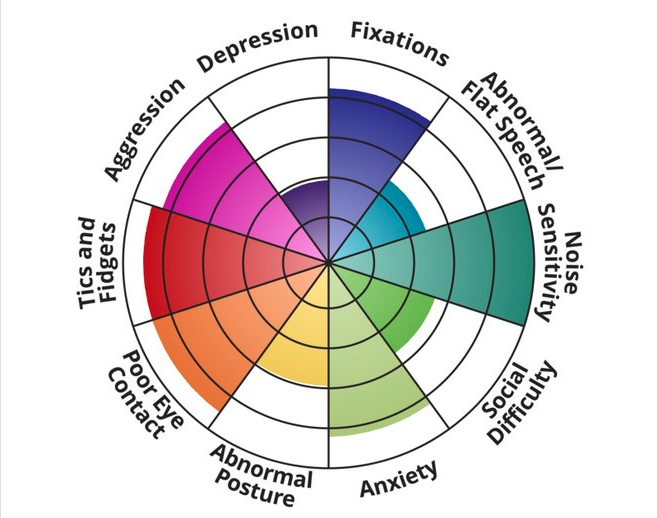 Results of an autism spectrum test showing a pie chart with each wedge a different color of the rainbow, some larger, others smaller. Categories include Aggression, Depression, Fixations, Abnormal/Flat Speech, Tics & Fidgets, Poor Eye Contact, Noise Sensitivity, Social Difficulty, Anxiety, Abnormal Posture.