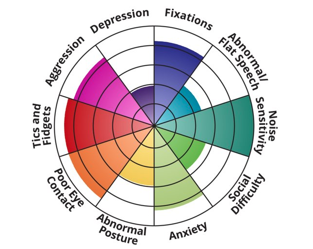 Results of an autism spectrum test showing a pie chart with each wedge a different color of the rainbow, some larger, others smaller. Categories include Aggression, Depression, Tics & Fidgets, Poor Eye Contact, Noise Sensitivity, Social Difficulty, Anxiety, Abnormal Posture.