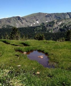 Fourth of July trail near Boulder, CO. Rocky Mountains with patches of snow in background and green grass with boggy stream in foreground.