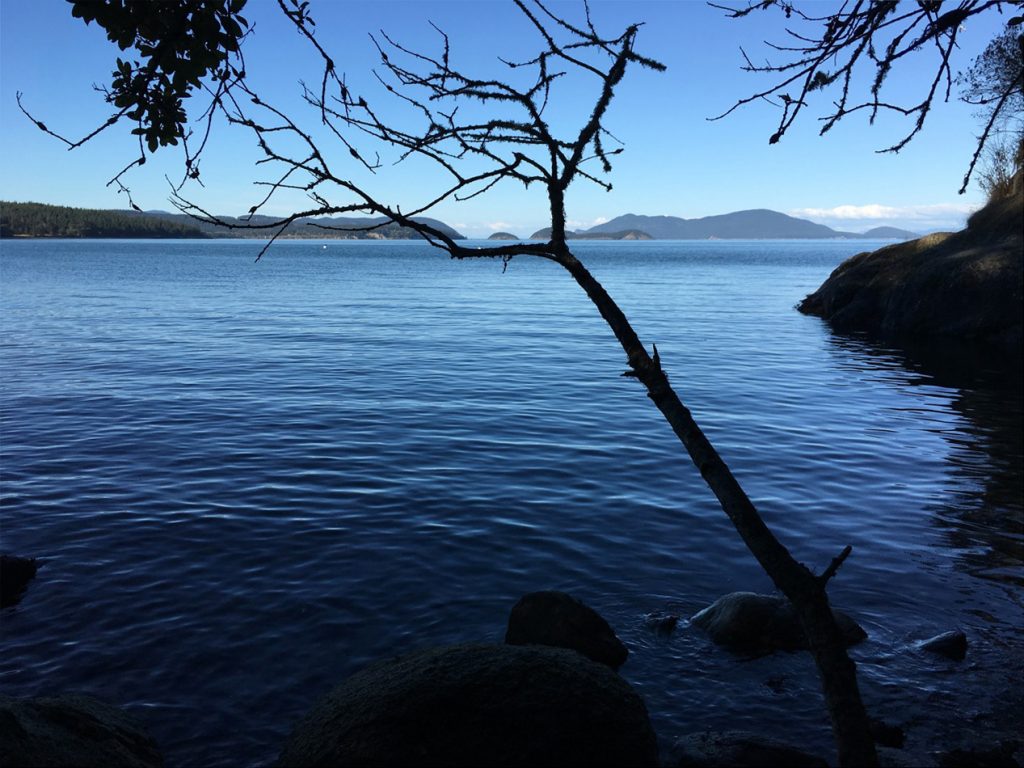 Very deep blue water stretching to the horizon with silhouettes of branches and rocks in the foreground