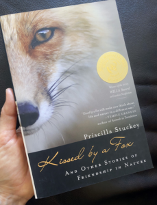 Cover of Kissed by a Fox with a hand holding it. Cover shows a close-up portrait of one half of a red fox's face.