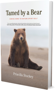 Standup book image showing cover of Tamed by a Bear: Coming Home to Nature-Spirit-Self by Priscilla Stuckey. A bear sits on a beach quietly gazing at you.