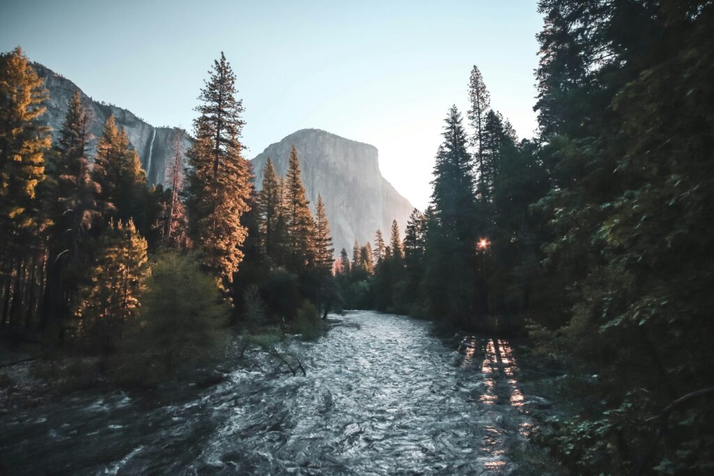 A dark river in low hazy sunlight, lined by pine trees. In the distance straight ahead is El Capitan.