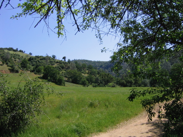Green hilly landscape framed by trees and blue sky. A dirt trail leads off to the right.